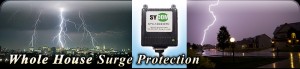 WholeHouseSurge_GRAPHIC